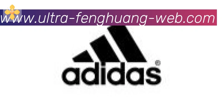 凤凰体育合作伙伴