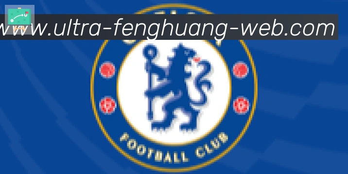 凤凰体育合作伙伴