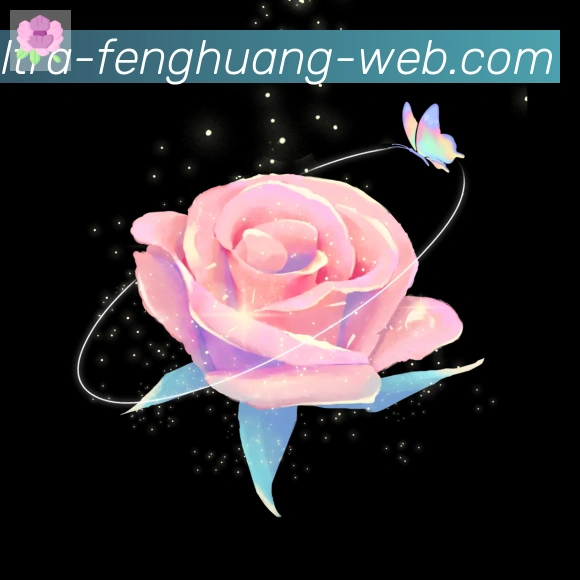 登录器 登录器